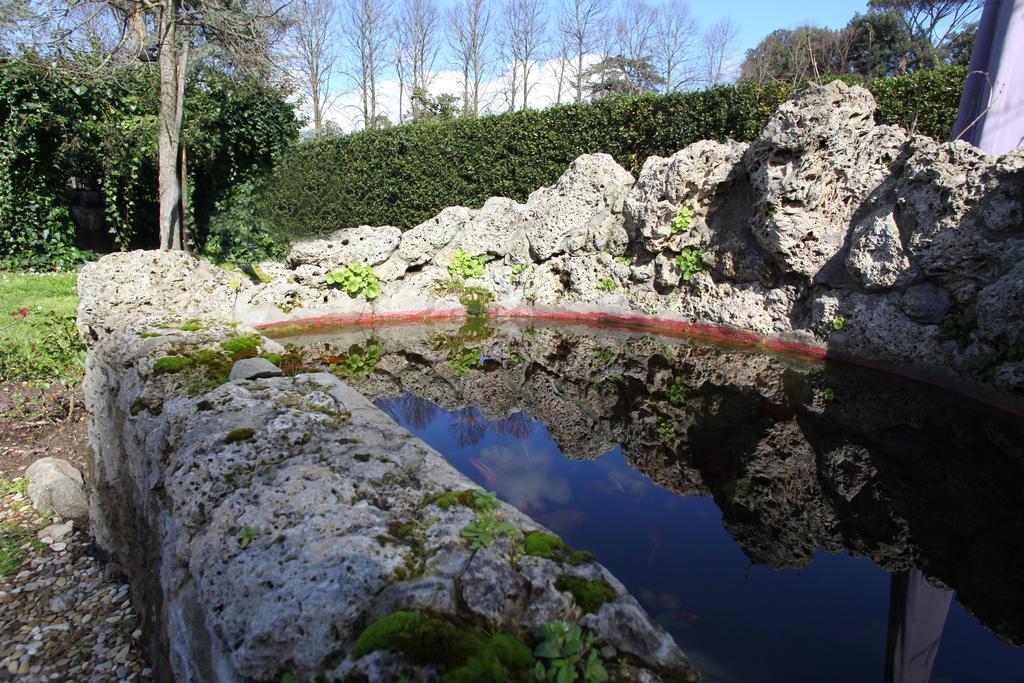 Rovezzano B&B Florencia Naturaleza foto